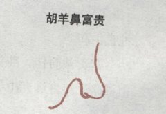 胡羊鼻面相详解