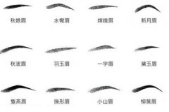 观眉毛分析你的桃花运