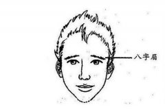 【面相】八字眉的人有怎样的运势特点