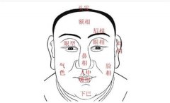 从面相看一个人的官运好坏