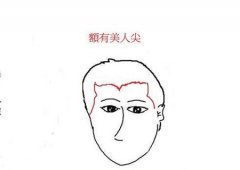 解读面相中的“美人尖” 了解其含义特点