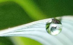 面相看你天生财运