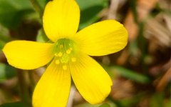 盘点：哪些面相个性傲慢虚荣心强