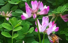 哪些面相的人会置业？