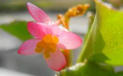 女人长相也可以看出命运吉凶