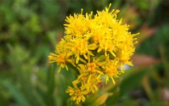 从嘴巴面相来解读女性的性格运势变化