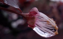 如何解读额头上的抬头纹面相特征?