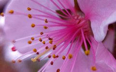 婚姻情感不够稳定的夫妻面相组合