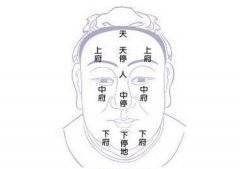 面相三停六府详解