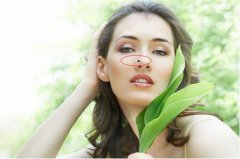 从鼻翼的外形特征来看个人财运的好坏