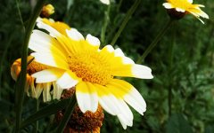 凶恶的面相有哪些特征