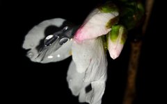 长相什么样的人最有福气