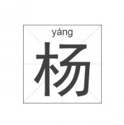 杨姓女孩起名_姓杨女孩名字大全