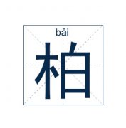 柏姓男孩起名_柏花男孩名字大全