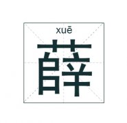 薛姓女孩起名_姓薛女孩名字大全