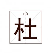 杜姓起名_杜姓名字大全