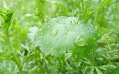 起名时如何体现男女有别