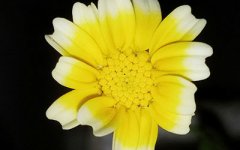 郑博士：取个好名有啥诀窍