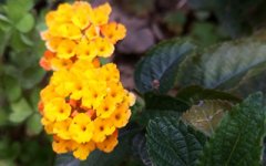 名字能以分数定好坏吗