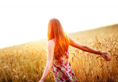 十招打造完美办公室