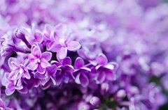 必知租房风水知识大全