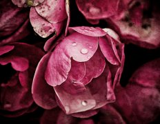 财位受损导致财运不旺