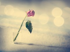 揭秘最适合转运的时机