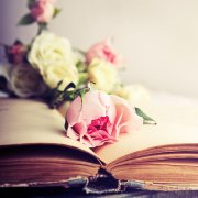 2016年如何装修婚房？