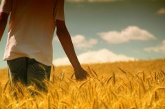 十大家居风水导致夫妻不合，家庭不睦