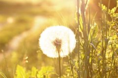 书房风水助你考学顺利、官运亨通