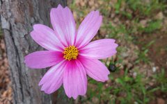 新车上路如何趋吉避凶