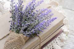 风水知识之教你怎么选吉利车牌号码？