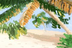 厨房风水：厨房门的颜色风水