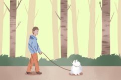 厨房门冲冰箱有什么影响吗？