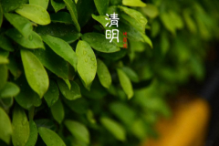 清明节的来历，为何要祭祖？