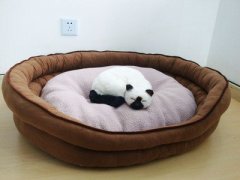 这样的阳台风水，财神爷都不想来！