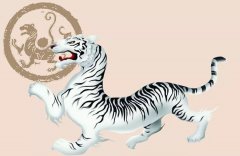 “白虎盖青龙，代代有人穷”是什么意思？可算知道了