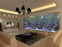 养鱼风水6大忌讳，信则有，不信则无~