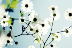 7大不吉利的风水预兆