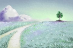 饲养宠物要注意风水禁忌 否则病灾缠身