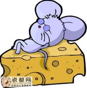 2018年属鼠的几月出生最好