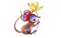 属鼠的人2017年多大，属鼠的今年多大