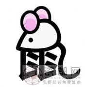 属鼠的人2014年运程大全及破解