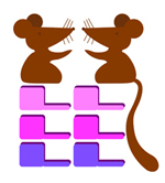 属鼠的人2014年感情运势