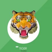 2015下半年生肖虎财运解析