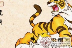 虎年虎月虎日出生的人是什么命