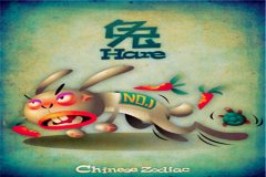 生肖兔君的理财致富之路