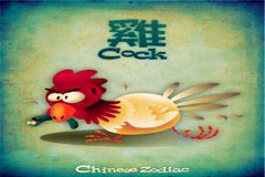 生肖鸡君的理财致富之路