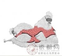 光棍节生肖鸡脱光攻略