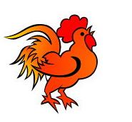 生肖鸡的职场成功秘诀